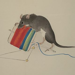 쥐띠 그림